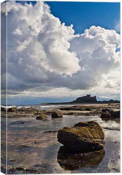 Bamburgh Castle from the Beach. Canvas Print by Kevin Tate