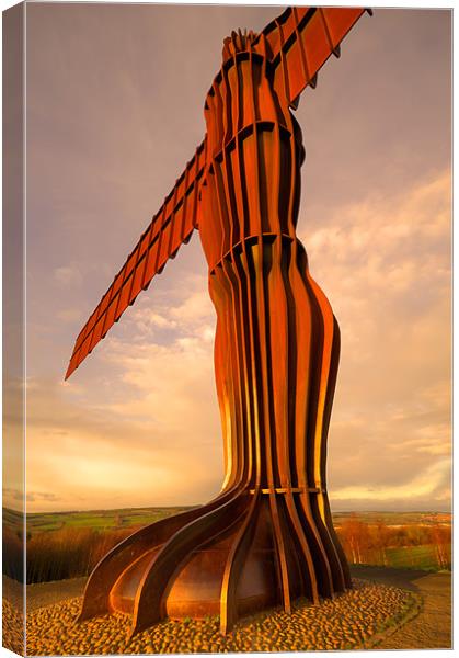Angel of the North Canvas Print by Kevin Tate