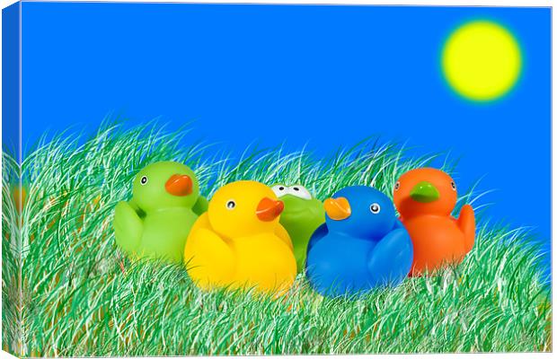 Rubber Ducks Canvas Print by Kevin Tate