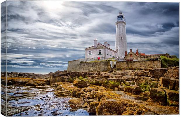 St Marys Lighthouse Canvas Print by Kevin Tate