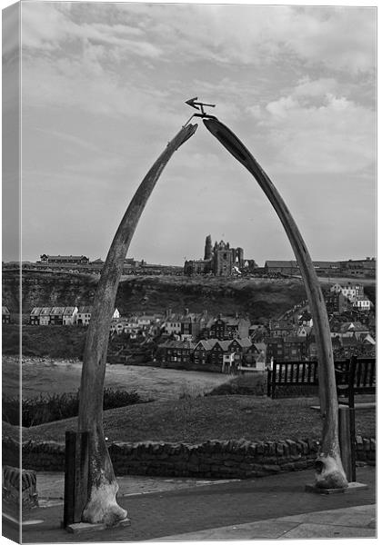 whitby whale bones Canvas Print by Northeast Images