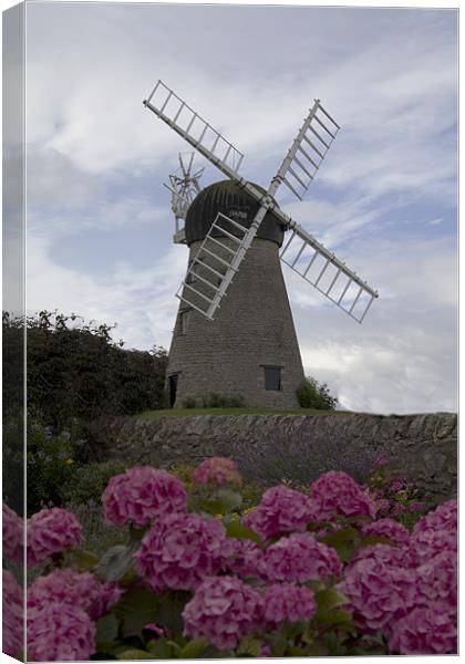 whitburn windmill 2 Canvas Print by Northeast Images