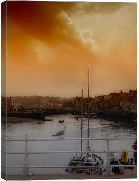 whitby harbour Canvas Print by Northeast Images