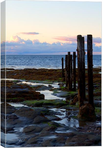 st mary`s groyne Canvas Print by Northeast Images