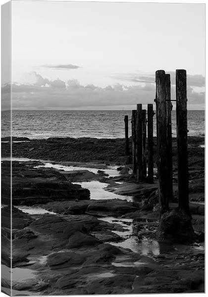 st mary`s groyne b&w. Canvas Print by Northeast Images