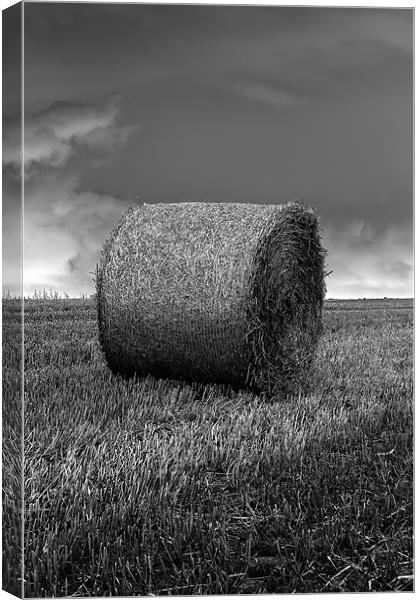 hay bale b&w Canvas Print by Northeast Images