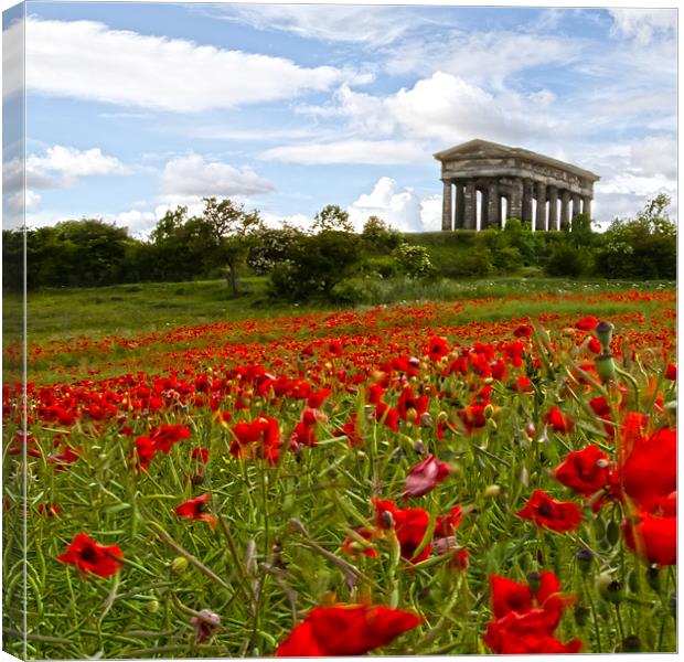 penshaw monument Canvas Print by Northeast Images