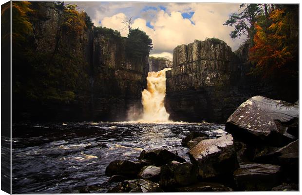 high force Canvas Print by Northeast Images