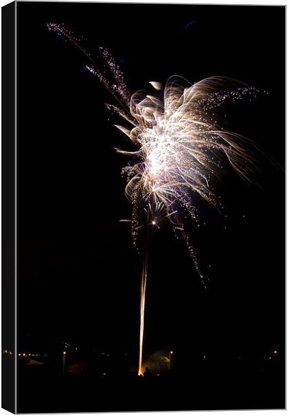 fireworks Canvas Print by Northeast Images