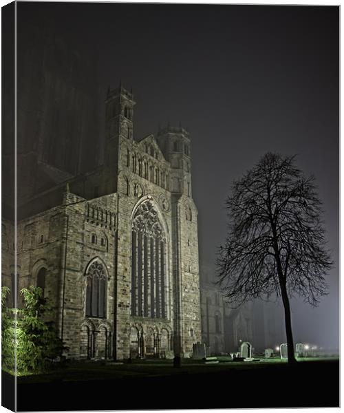 Misty Cathedral Canvas Print by Northeast Images