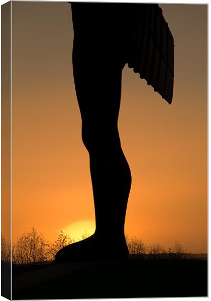 Angel Sunset Canvas Print by Northeast Images