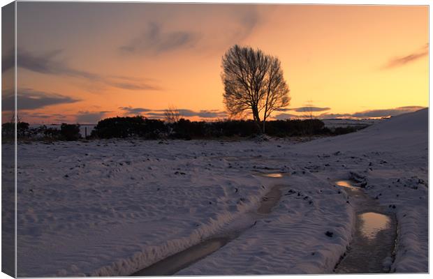 wintry sunset Canvas Print by Northeast Images