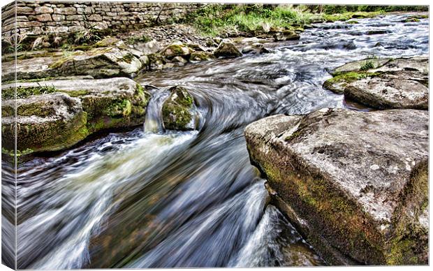 river Canvas Print by Northeast Images
