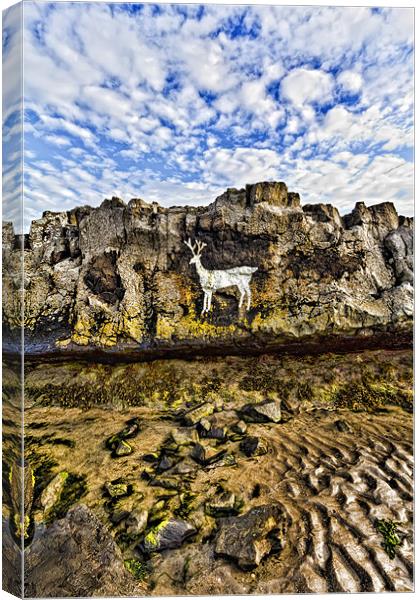 Stag Rock Canvas Print by Northeast Images