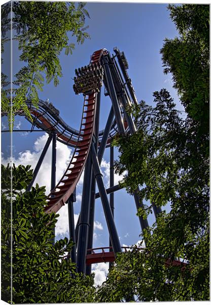 coasting through the trees Canvas Print by Northeast Images