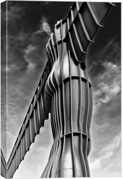 Angel of the North Canvas Print by Northeast Images