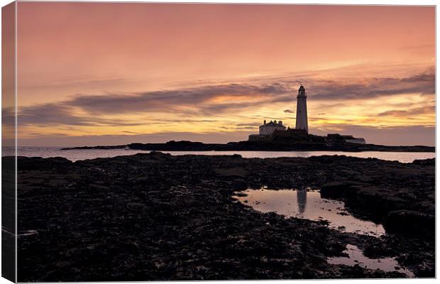St Mary`s lighthouse Canvas Print by Northeast Images