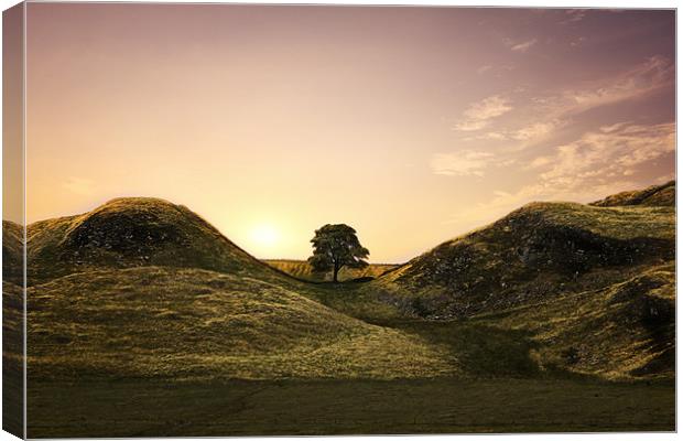 Sycamore Gap Canvas Print by Northeast Images