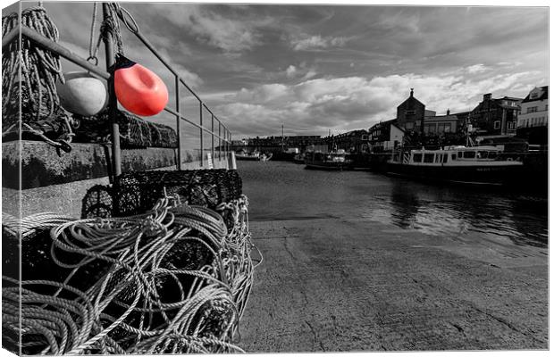 Seahouses Harbour Canvas Print by Northeast Images