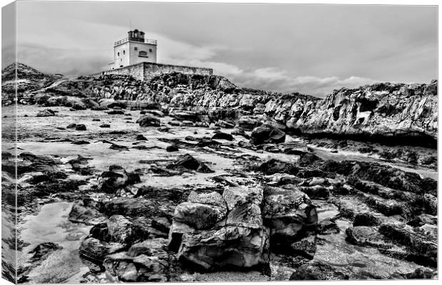  stag rock Canvas Print by Northeast Images