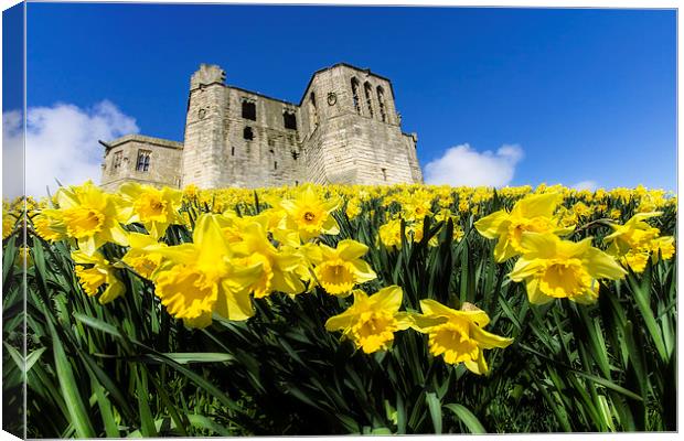  Warkworth Castle Canvas Print by Northeast Images