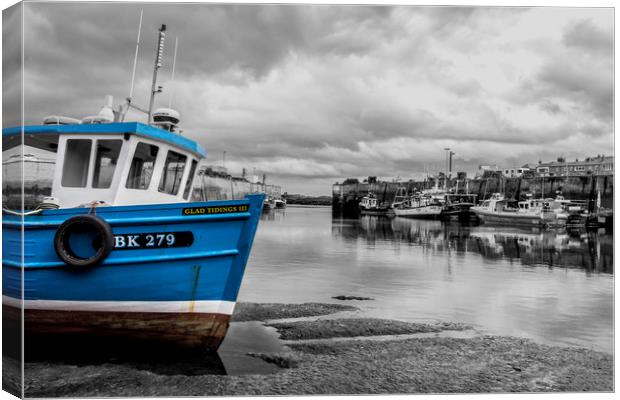 Seahouses Canvas Print by Northeast Images