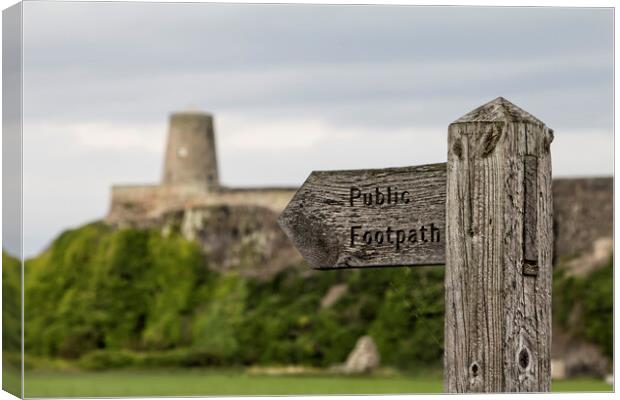 Bamburgh Castle Canvas Print by Northeast Images