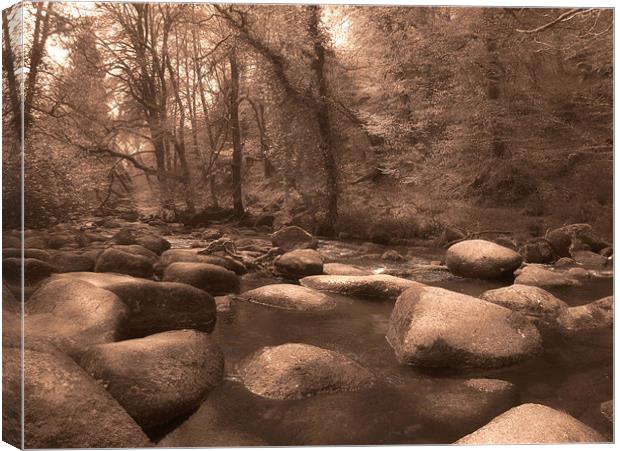 Dartmeet Brook Canvas Print by Luke Woods