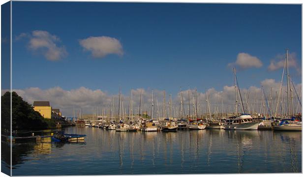 Turnchapel Harbour Canvas Print by Luke Woods