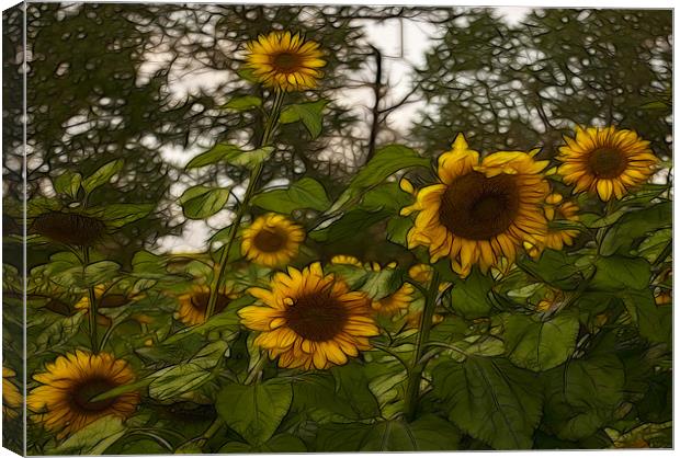 Fractal Sunflowers Canvas Print by Trevor Kersley RIP