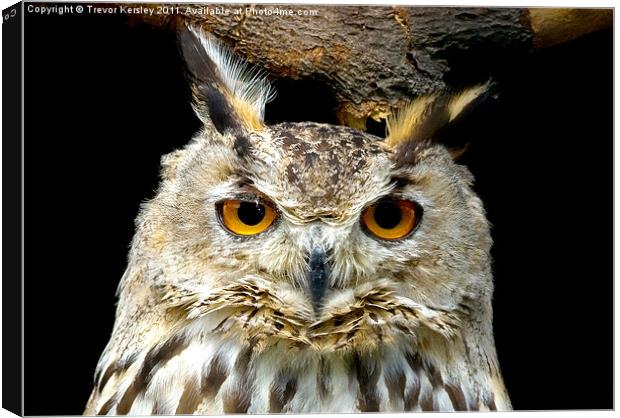 Wise Owl Canvas Print by Trevor Kersley RIP