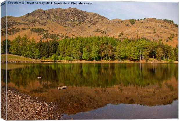 Blea Tarn & Kettle Crag Canvas Print by Trevor Kersley RIP