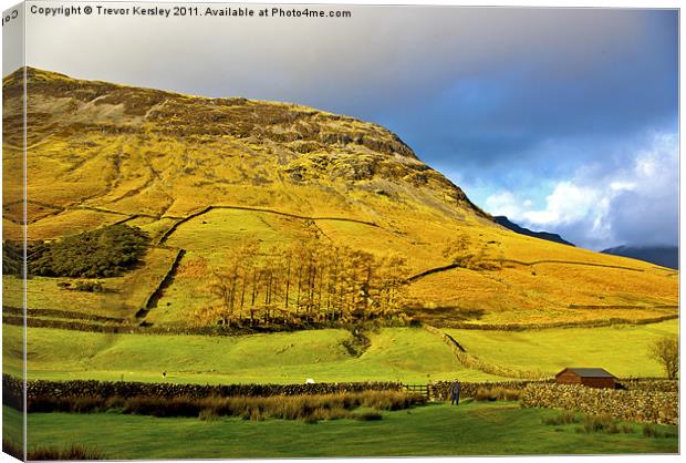 The Hill - Wasdale Canvas Print by Trevor Kersley RIP