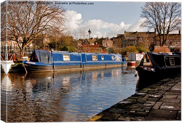 Along the Canal Canvas Print by Trevor Kersley RIP