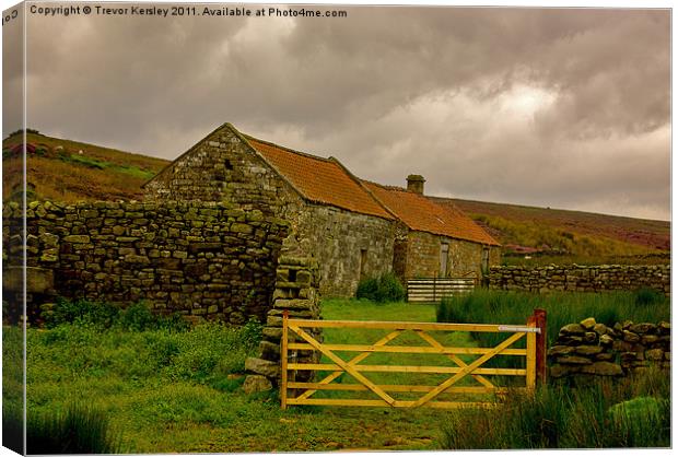 Shelters on the Moors Canvas Print by Trevor Kersley RIP