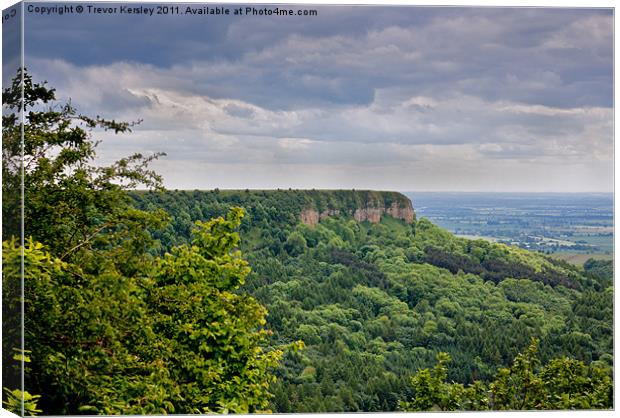 Sutton Bank - North Yorkshire Canvas Print by Trevor Kersley RIP