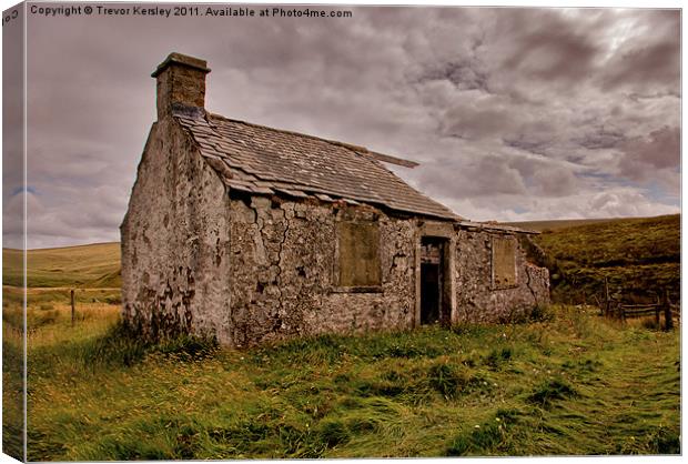 Ruin in the Dales Canvas Print by Trevor Kersley RIP