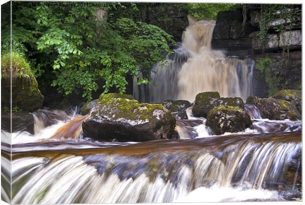 Cliff Beck Falls Canvas Print by Trevor Kersley RIP