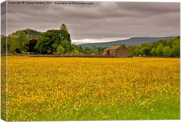 Hay Meadow - Yorkshire Dales Canvas Print by Trevor Kersley RIP