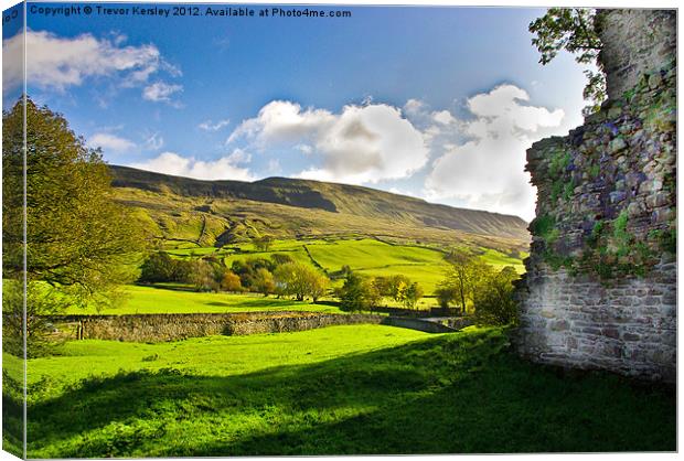 Cumbrian View Canvas Print by Trevor Kersley RIP