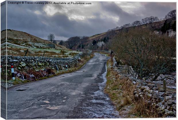 Country Road - Swaledale Canvas Print by Trevor Kersley RIP