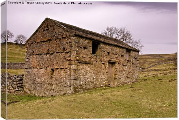 Yorks Dales Stone Barn Canvas Print by Trevor Kersley RIP