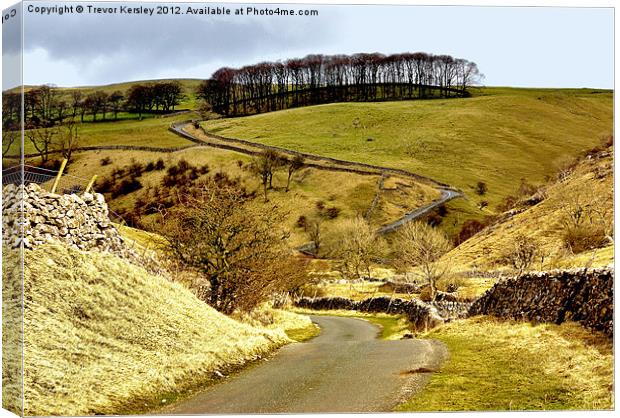 Coverdale Country Road Canvas Print by Trevor Kersley RIP