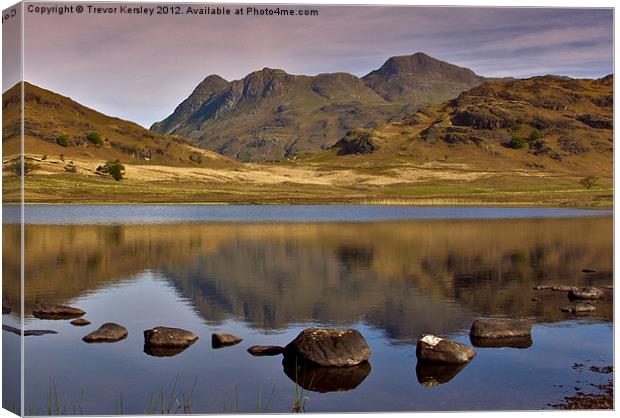 Early Morning at Blea Tarn Canvas Print by Trevor Kersley RIP