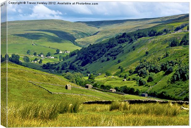 Yorkshire Dales Views Canvas Print by Trevor Kersley RIP