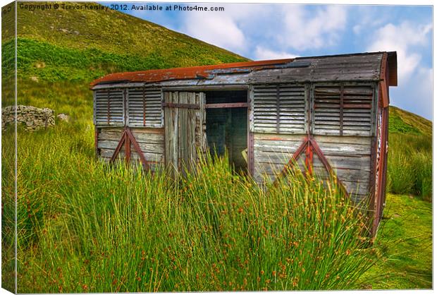 Swaledale Storage Units Canvas Print by Trevor Kersley RIP