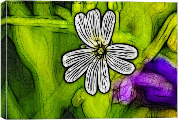 Wild Flowers - Stitchwort Canvas Print by Trevor Kersley RIP