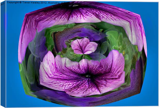 Purple Petunia Canvas Print by Trevor Kersley RIP