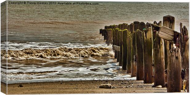 Worn and Weathered Canvas Print by Trevor Kersley RIP