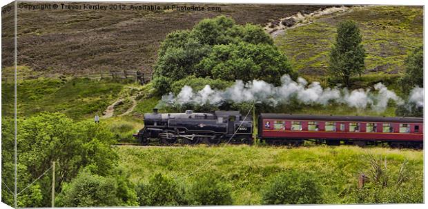Steaming through the Moors Canvas Print by Trevor Kersley RIP